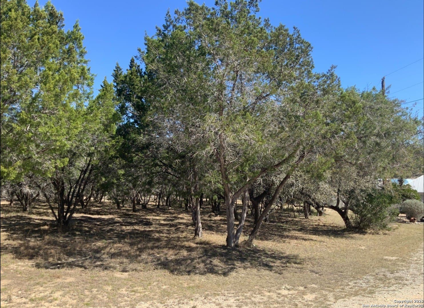 1.3 acres in Bandera County - photo 8