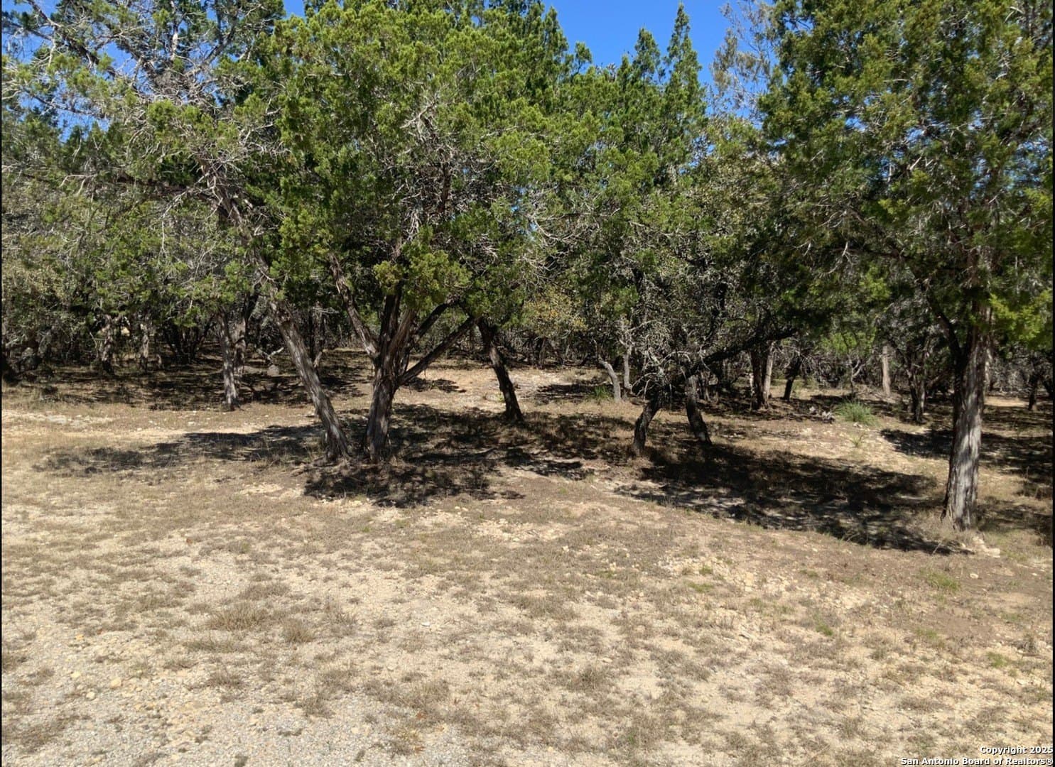 1.3 acres in Bandera County - photo 9
