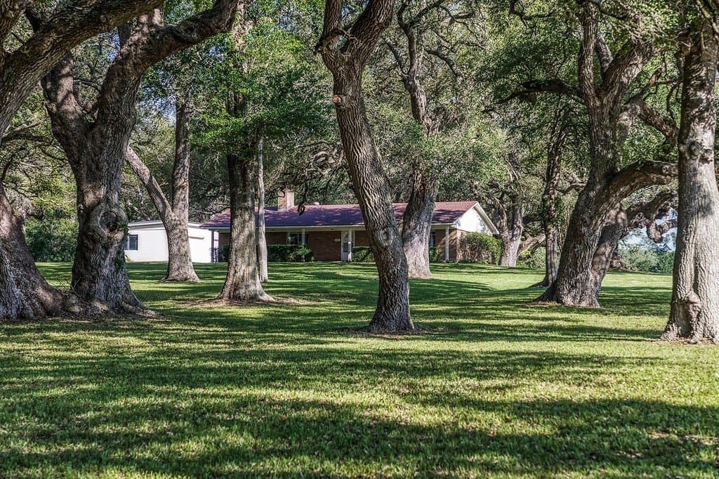 32 acres in Washington County gallery image 3