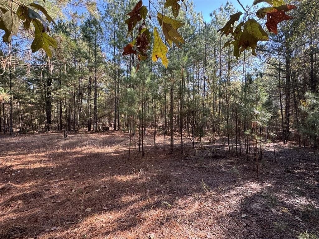 1.65 acres in Red River (TX) County gallery image 3