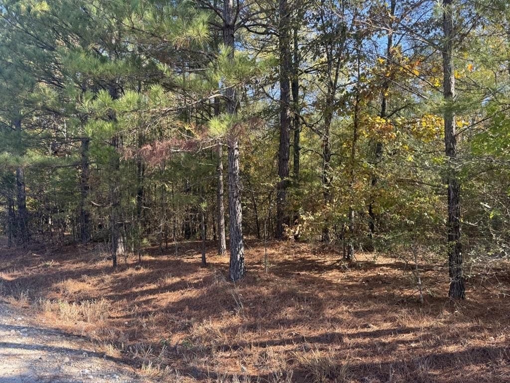 1.65 acres in Red River (TX) County gallery image 2