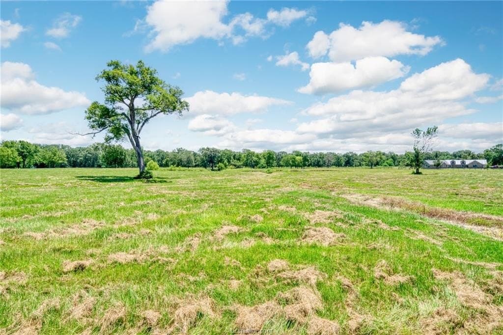 40 acres in Madison County gallery image 4