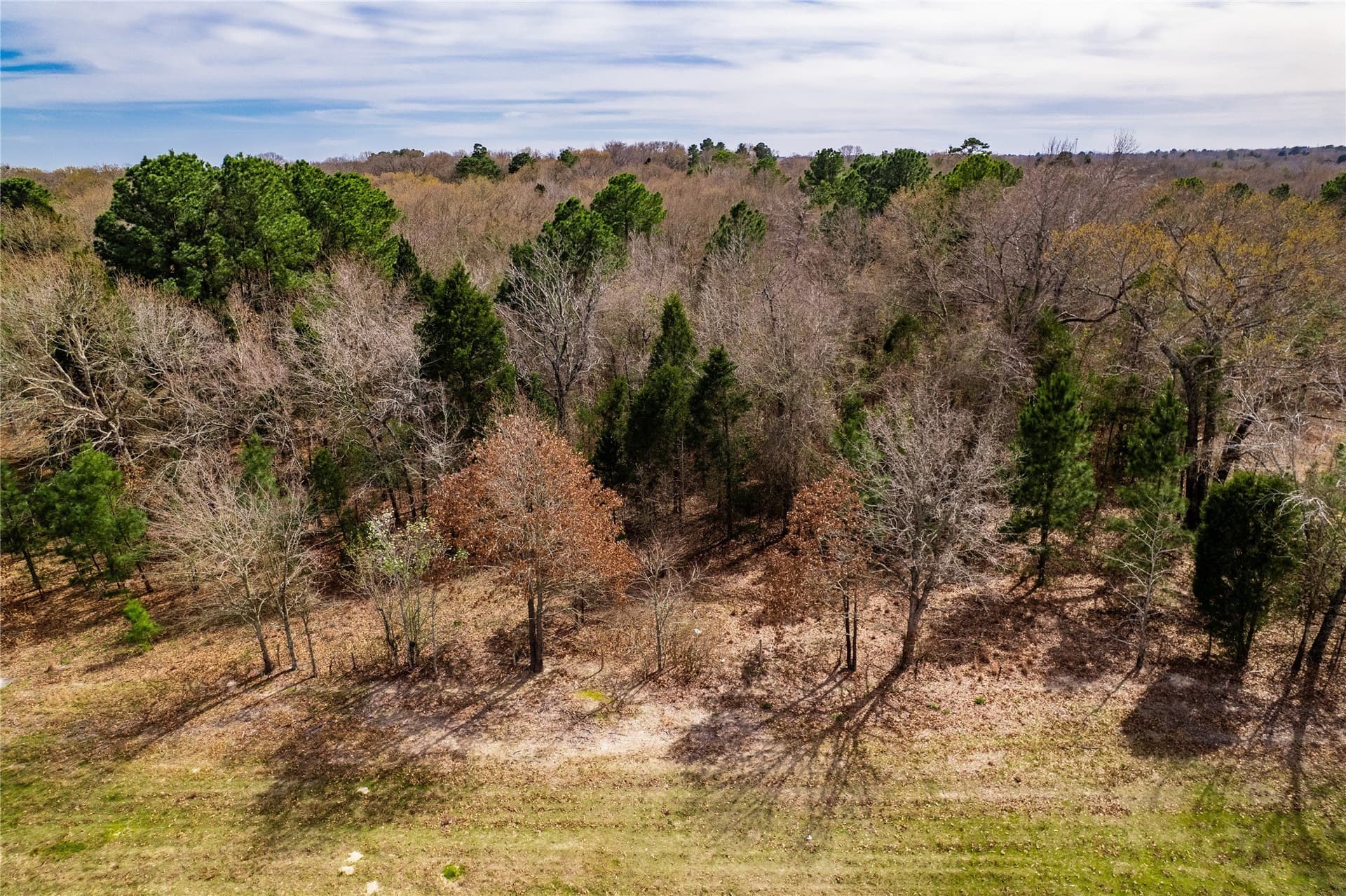 3.7 acres in Henderson County - photo 26