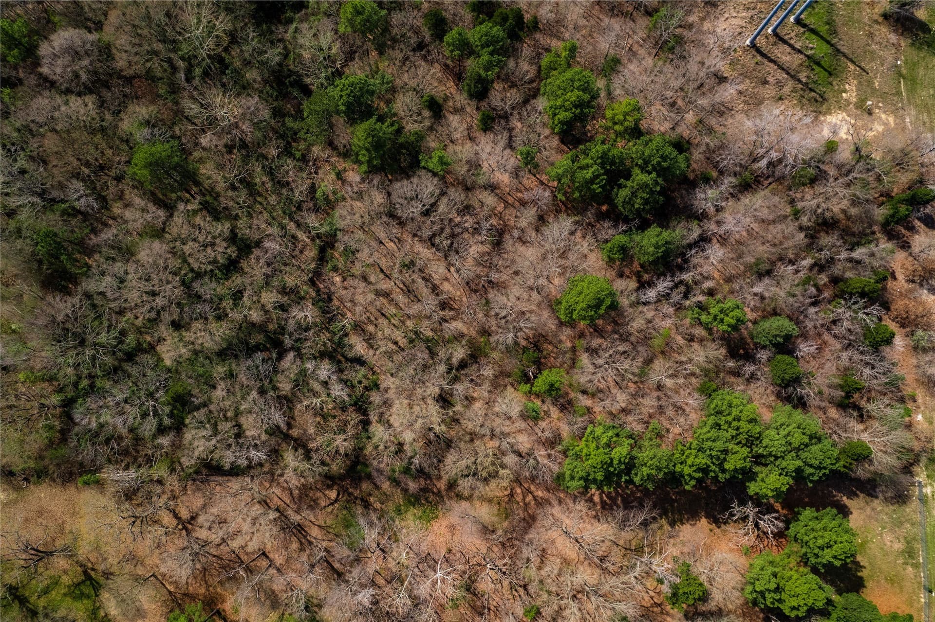 3.7 acres in Henderson County - photo 13