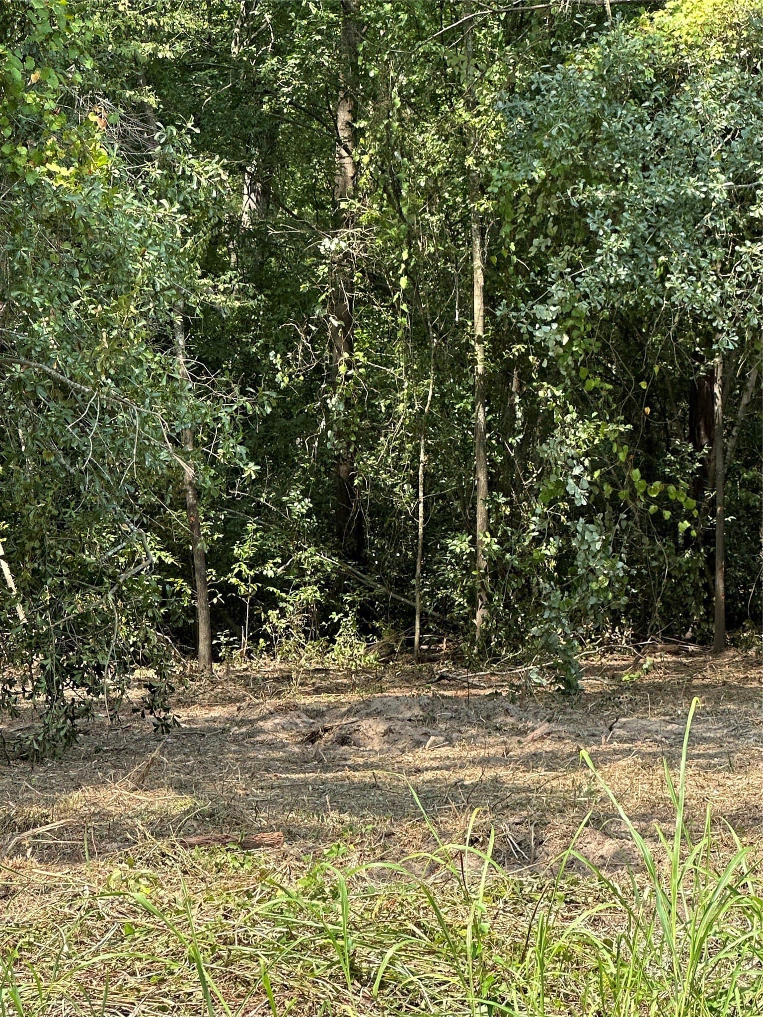 3.7 acres in Henderson County - photo 30