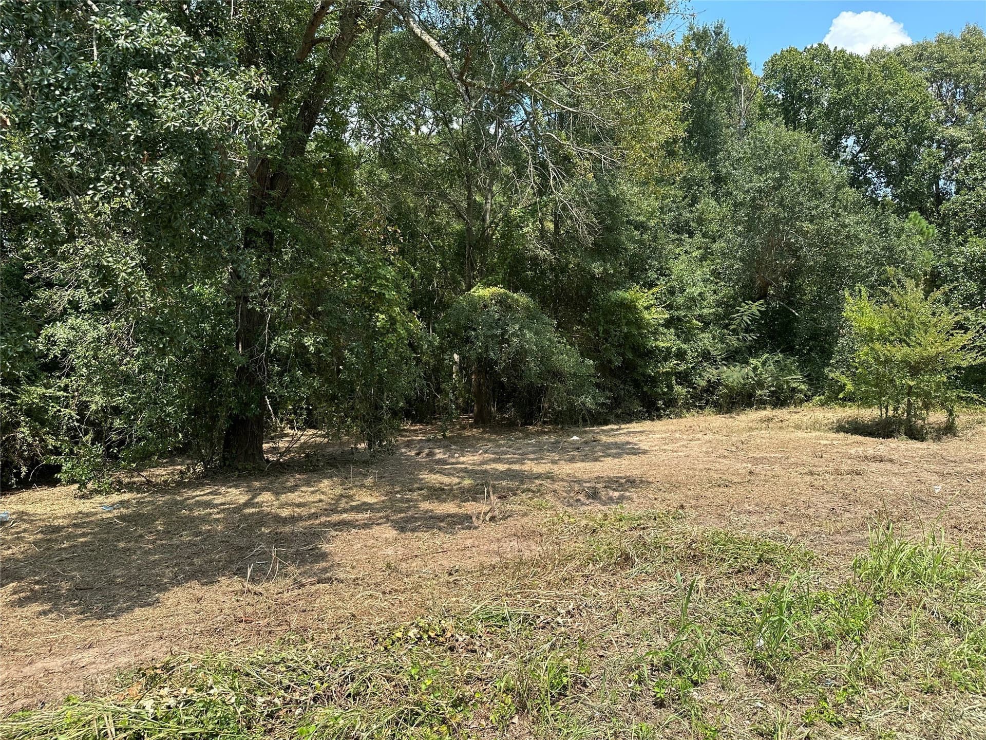 3.7 acres in Henderson County gallery image 2
