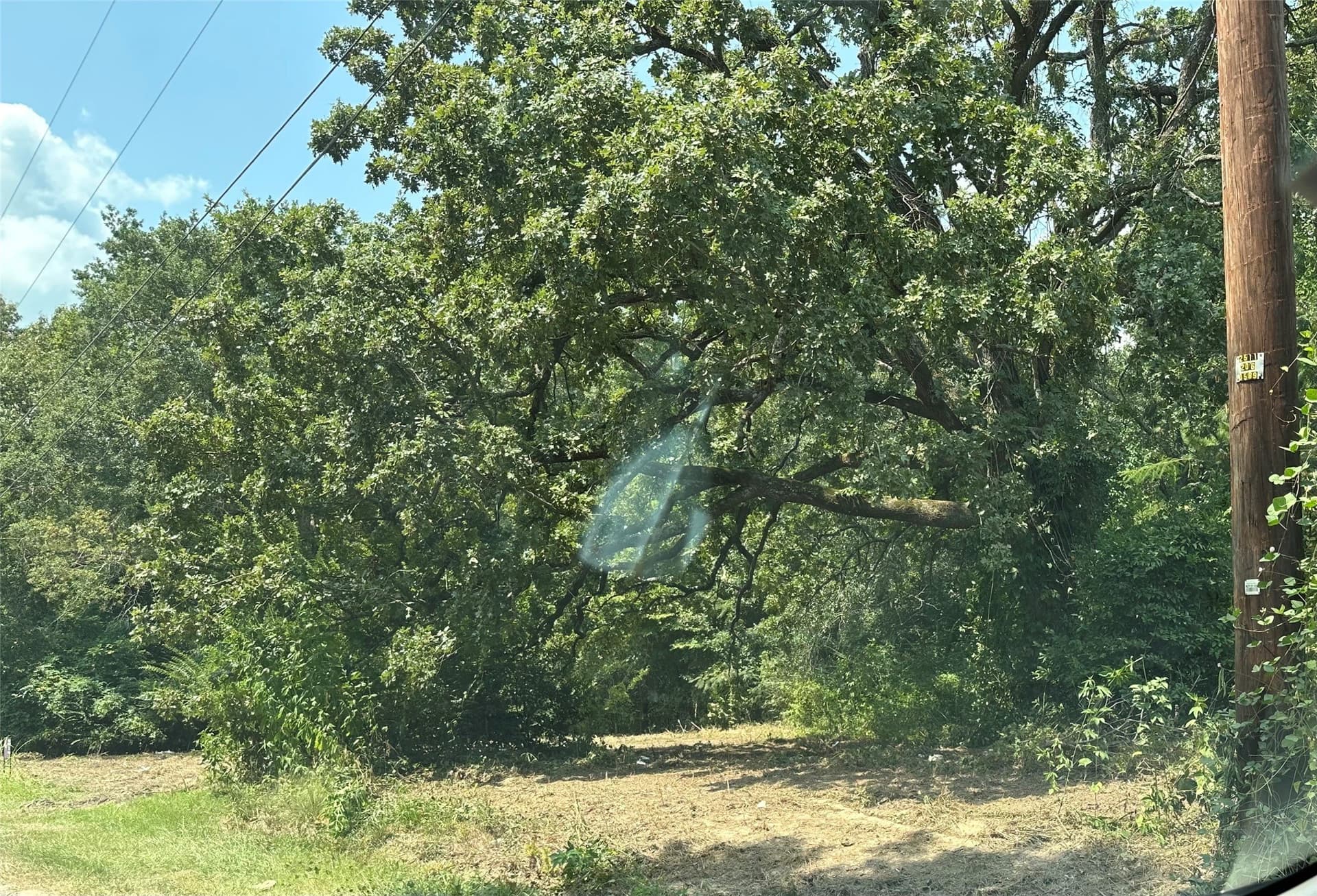 3.7 acres in Henderson County - photo 31