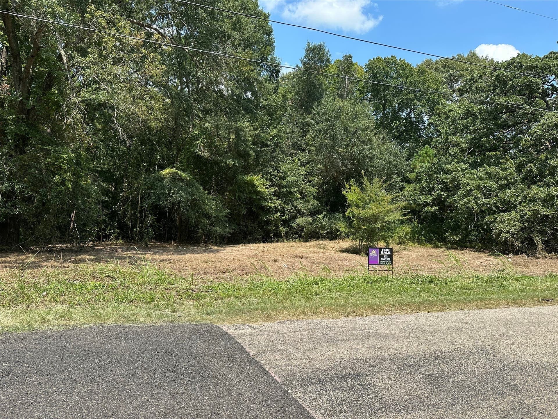 3.7 acres in Henderson County gallery image 4