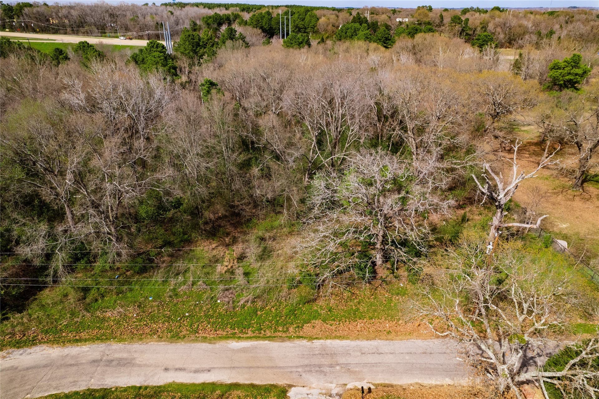 3.7 acres in Henderson County - photo 16