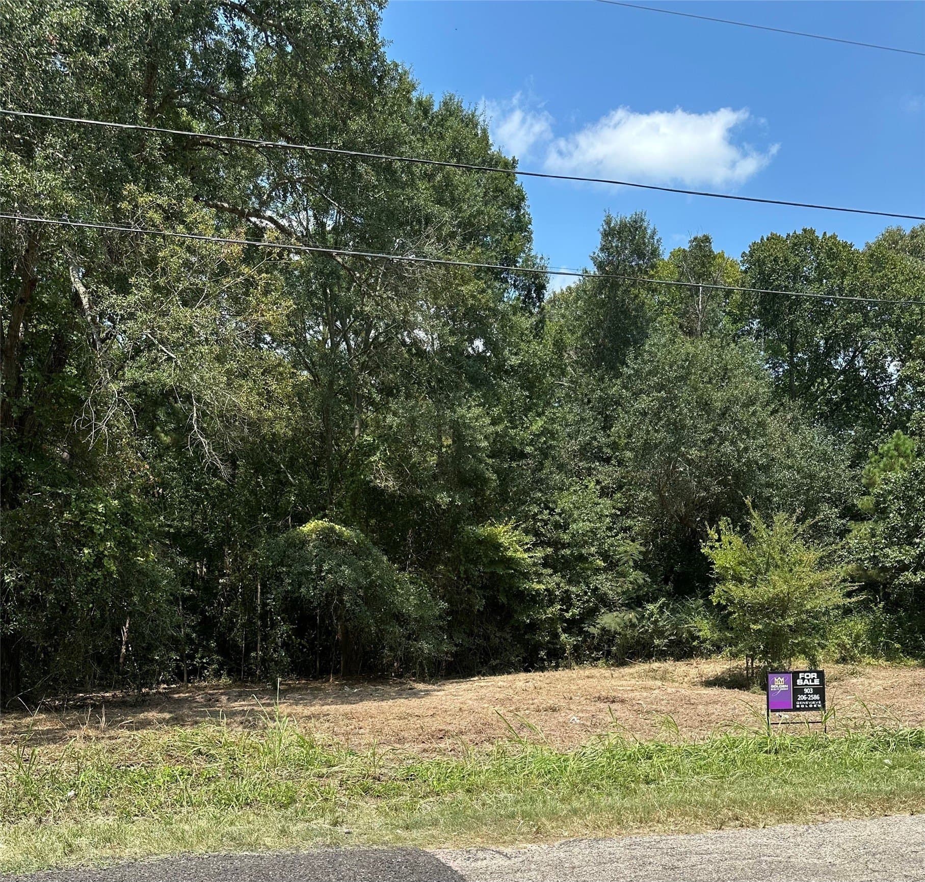 3.7 acres in Henderson County - photo 29