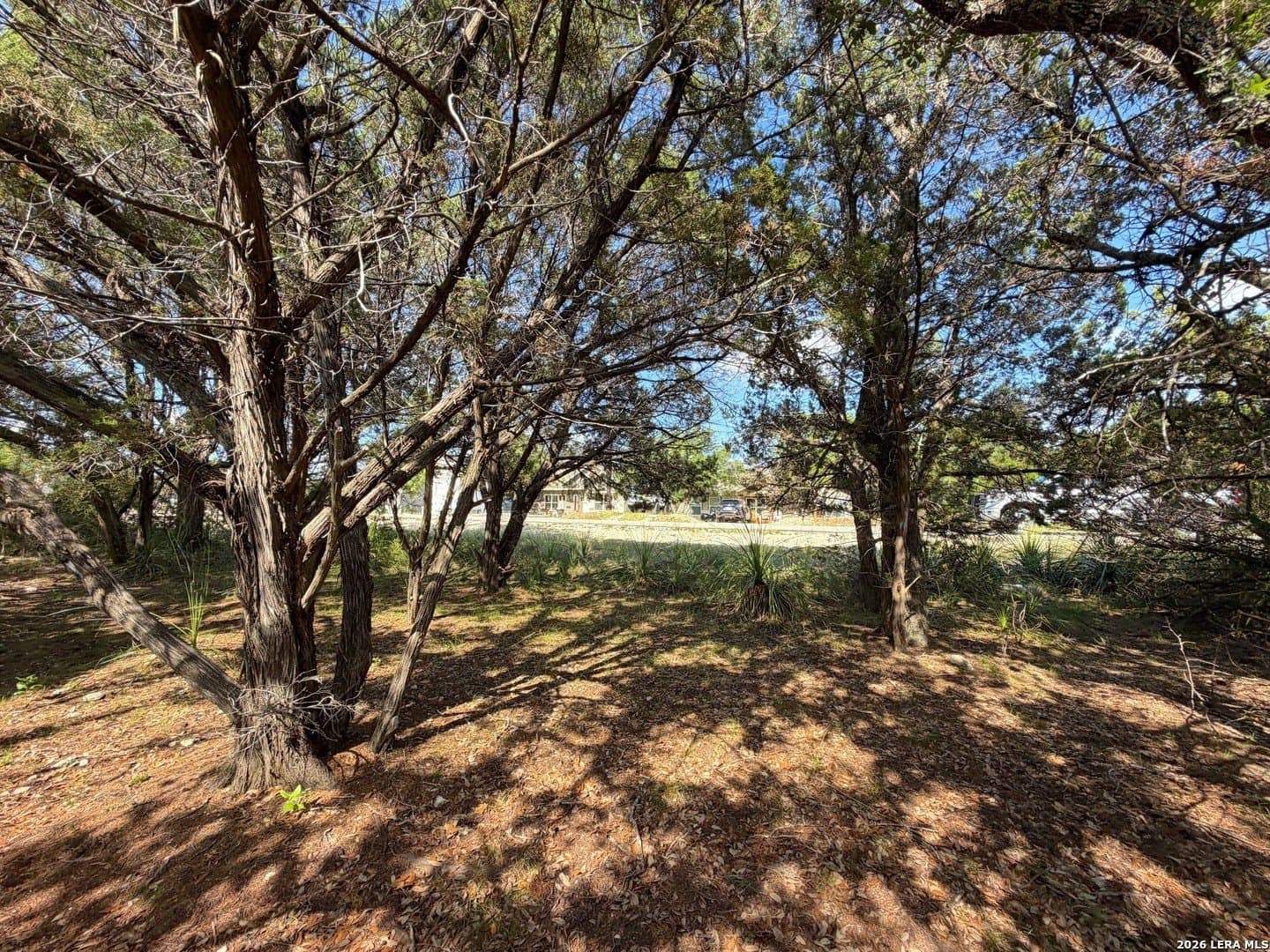 0.26 acres in Comal County - photo 11