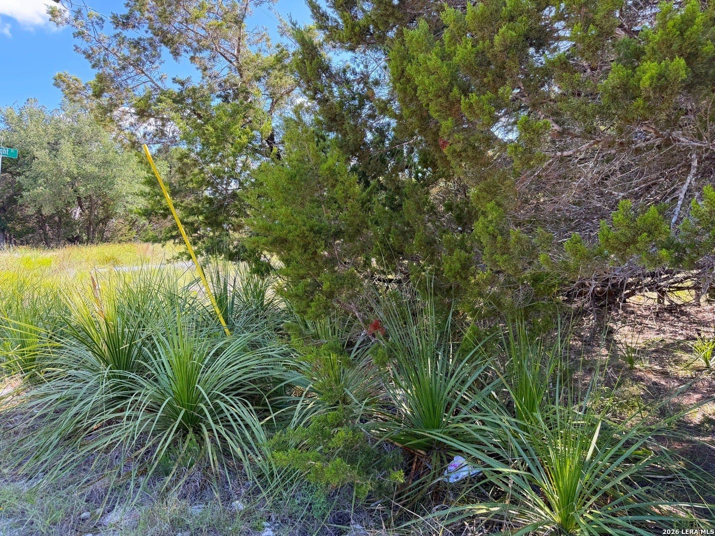 0.26 acres in Comal County - photo 9