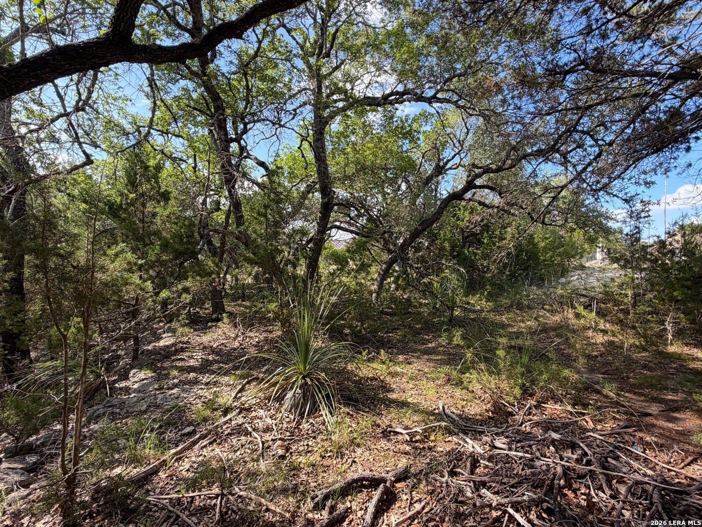 0.26 acres in Comal County - photo 6