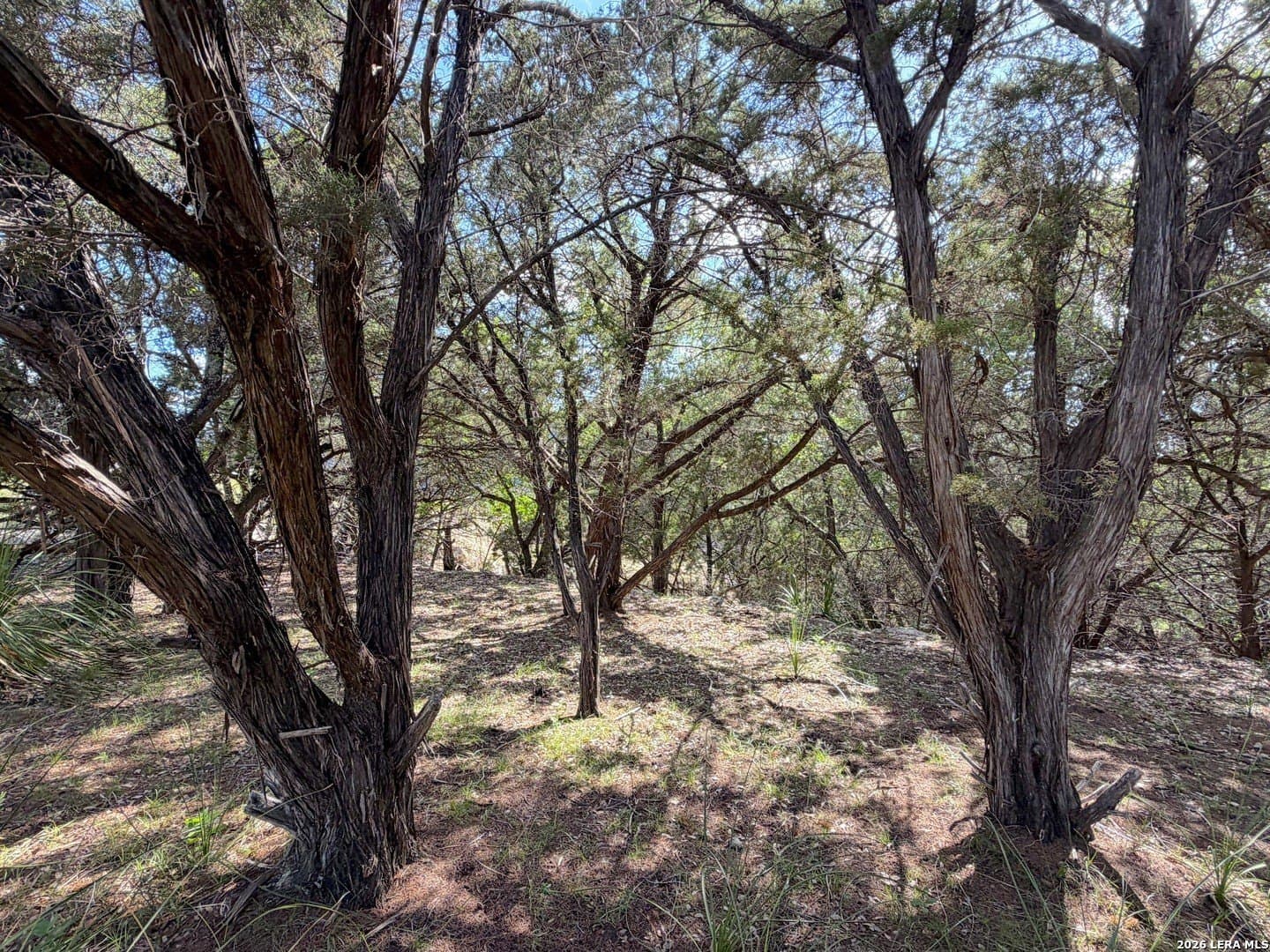 0.26 acres in Comal County - photo 14