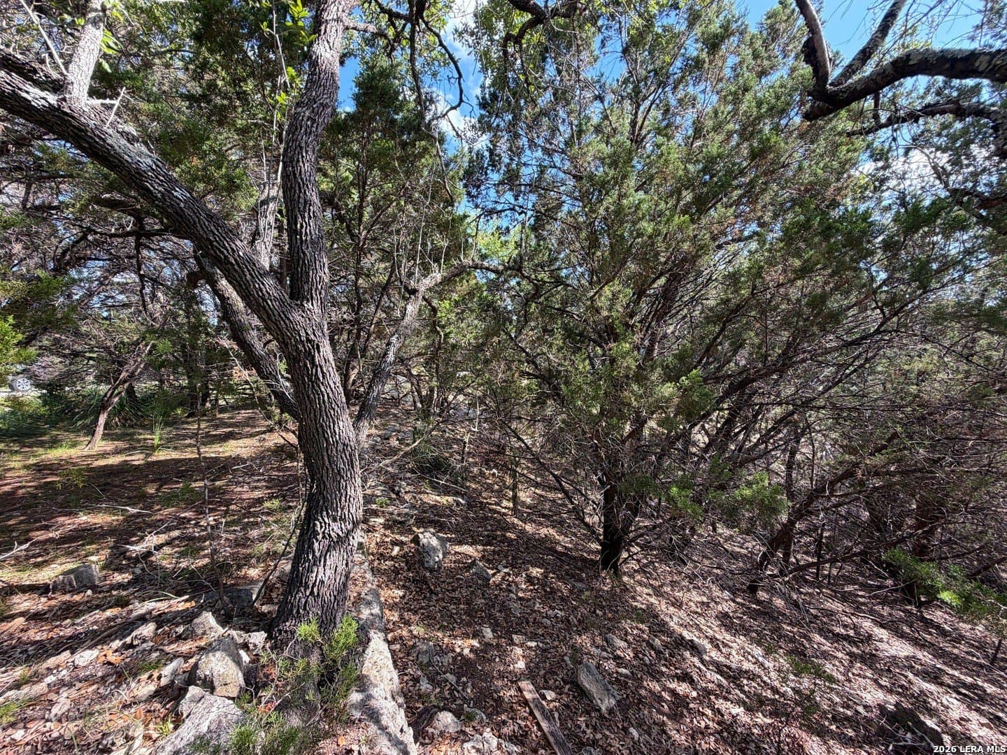 0.26 acres in Comal County - photo 10