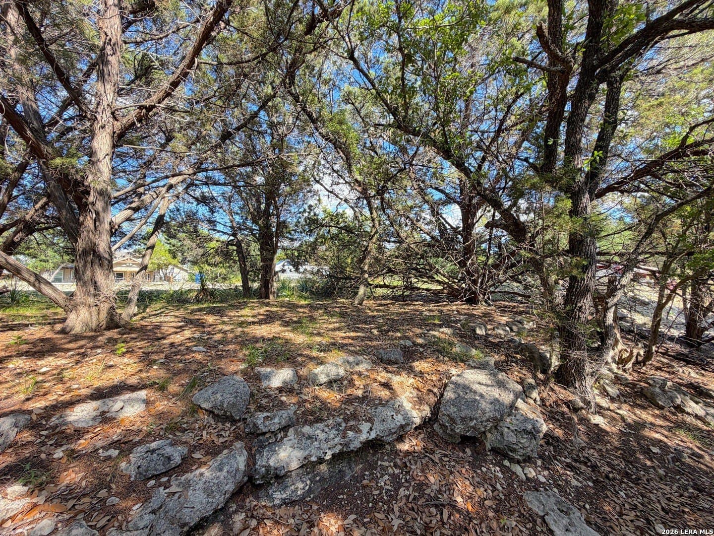 0.26 acres in Comal County gallery image 4
