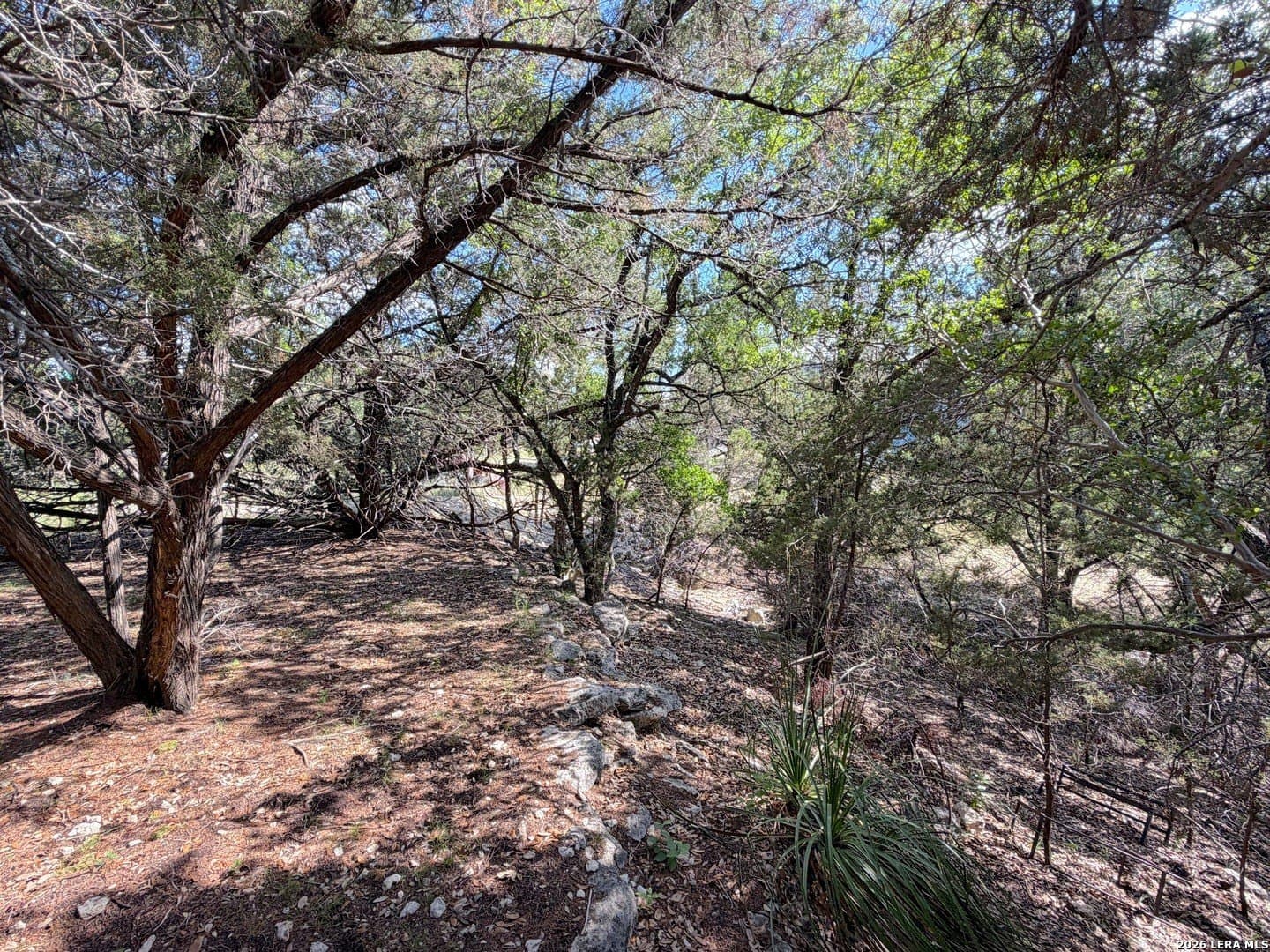 0.26 acres in Comal County - photo 15