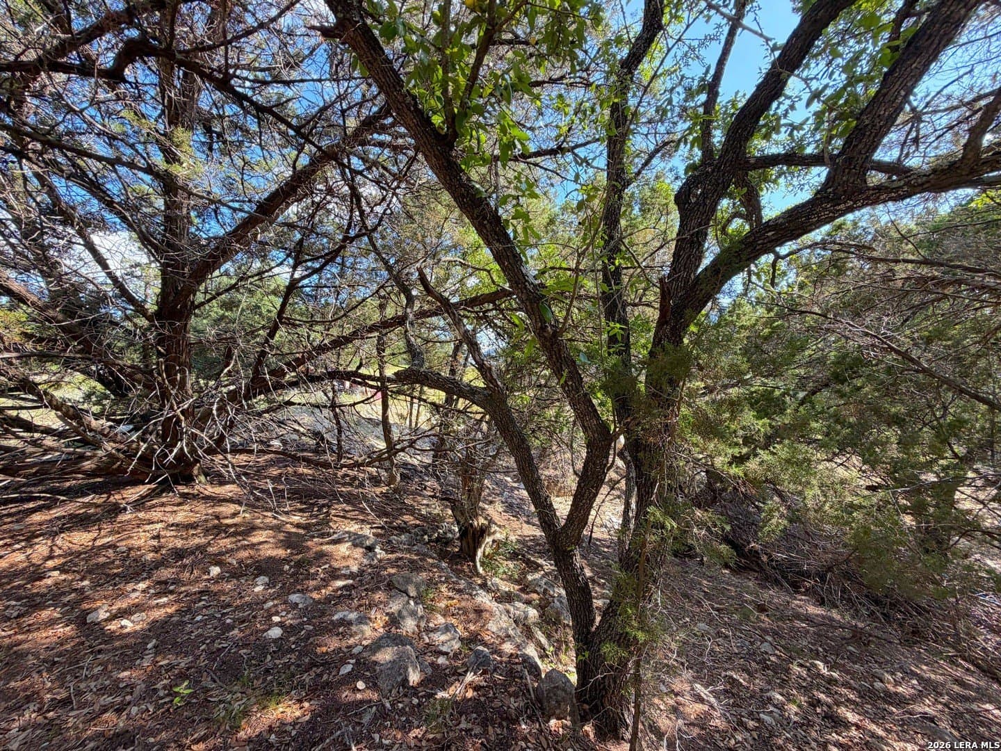 0.26 acres in Comal County featured view