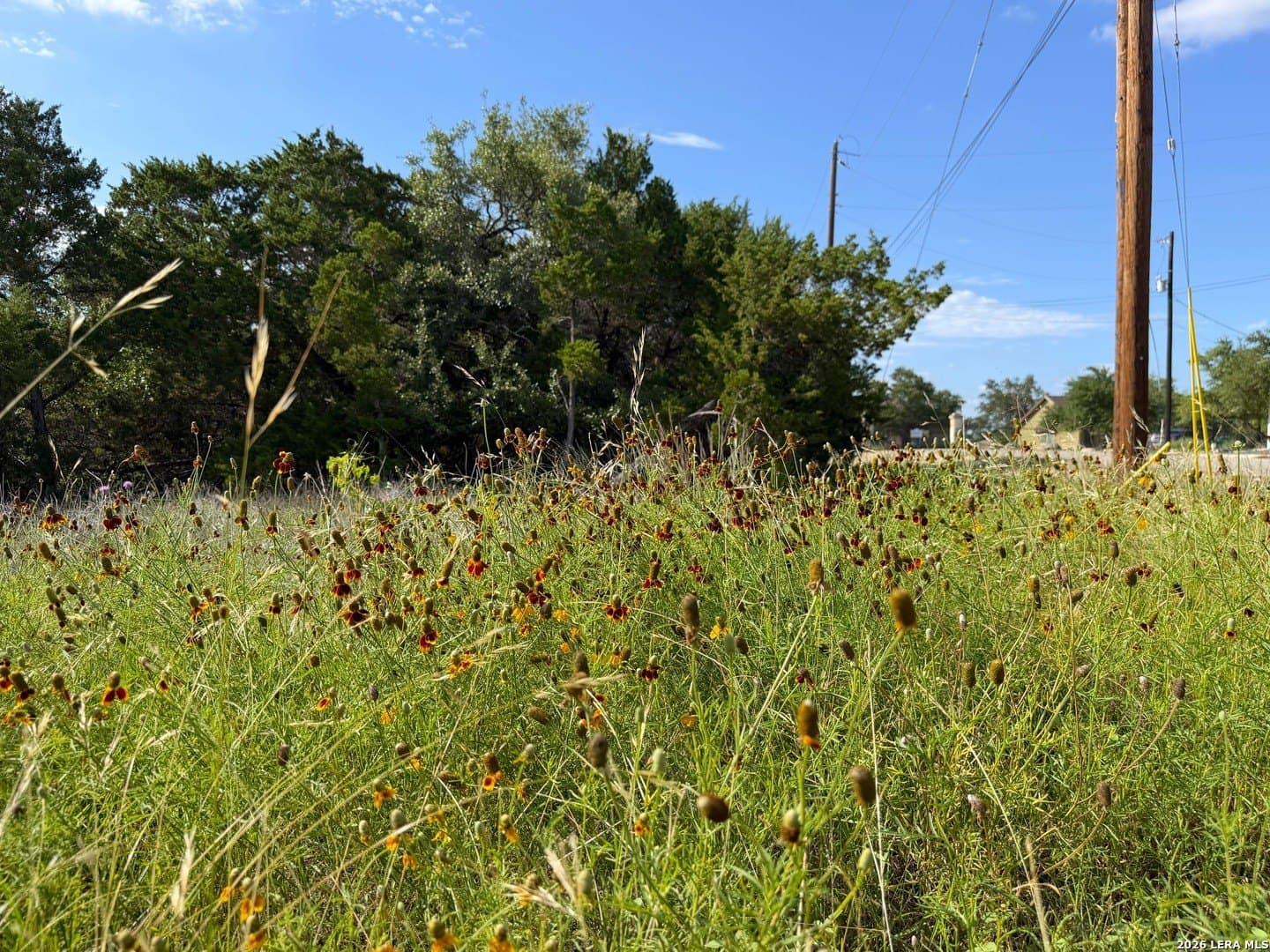 0.26 acres in Comal County - photo 8