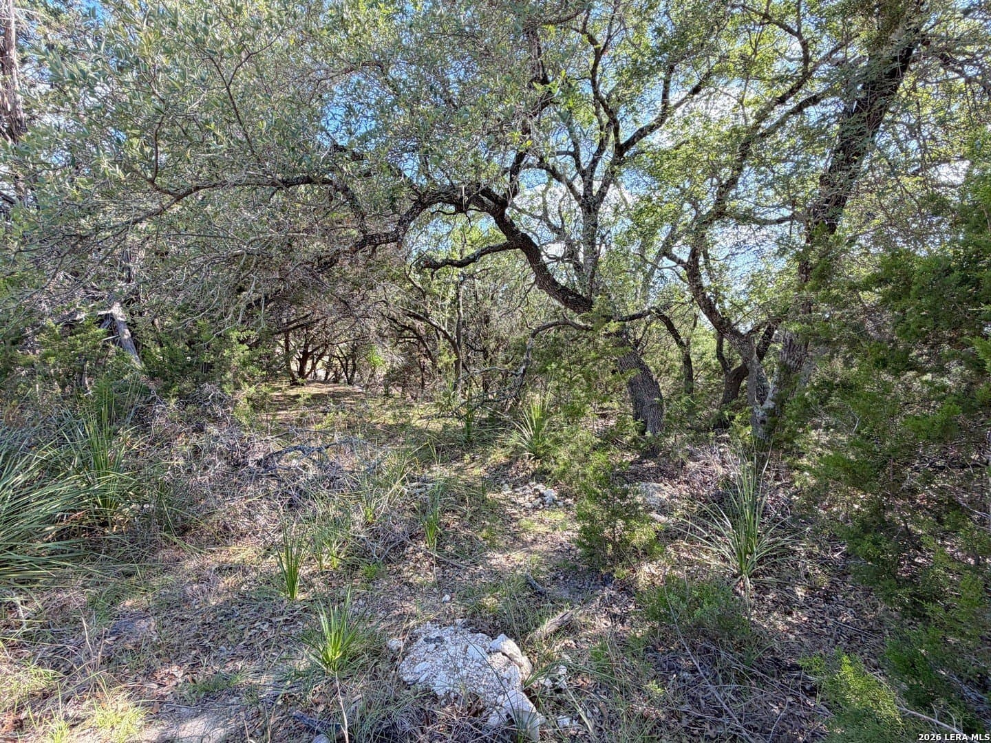 0.26 acres in Comal County gallery image 3