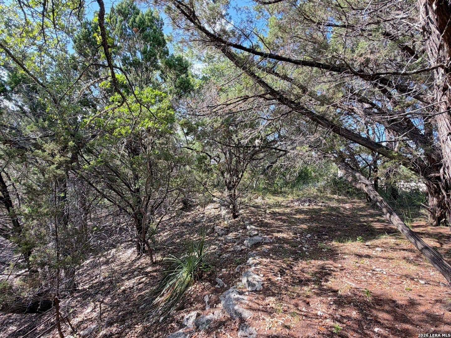 0.26 acres in Comal County - photo 13