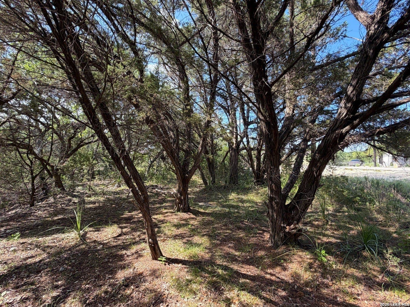 0.26 acres in Comal County - photo 7