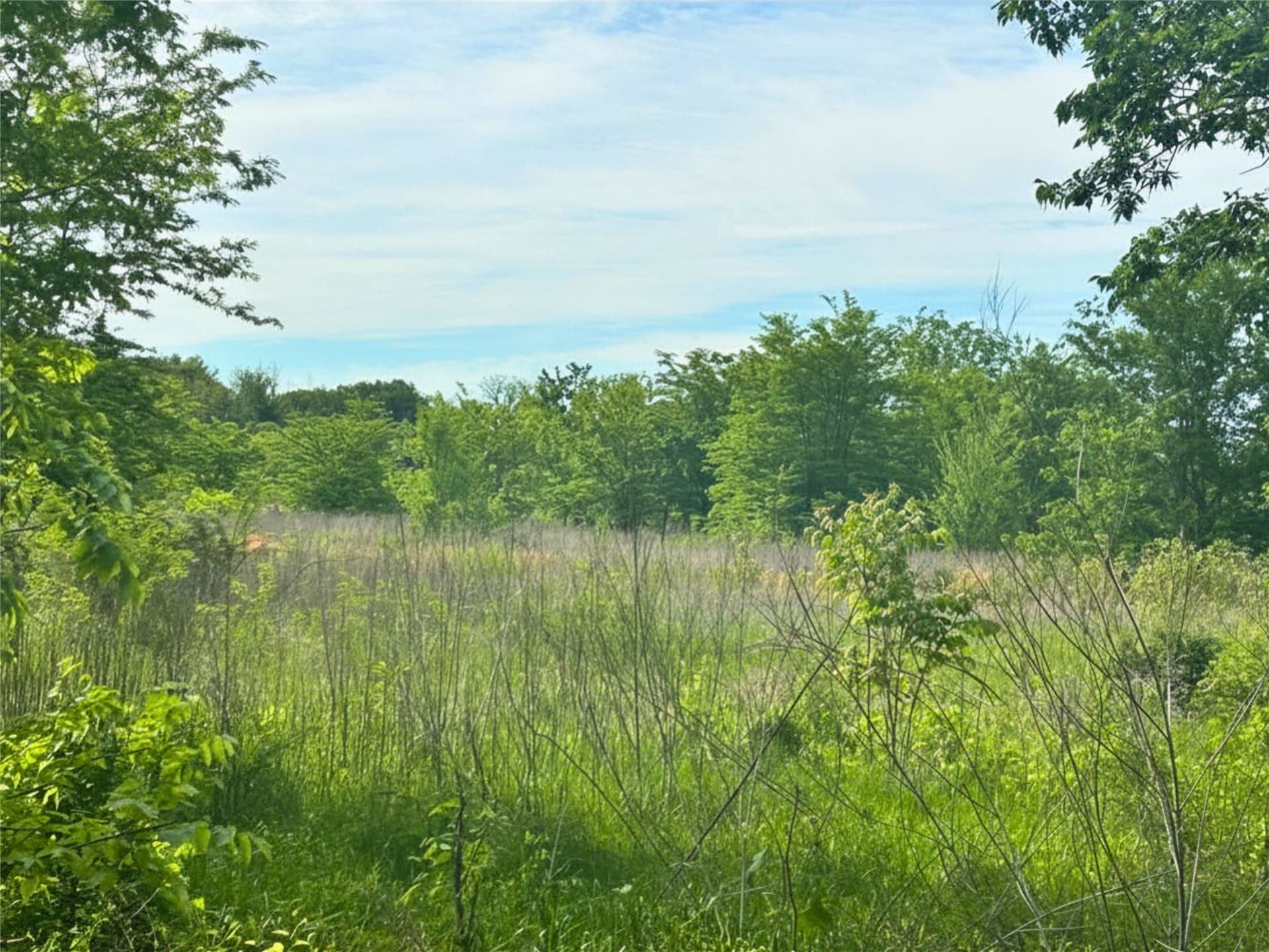 10.96 acres in Rains County gallery image 2