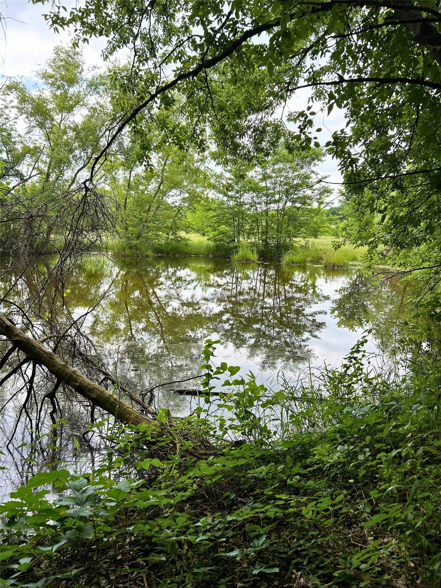 10.96 acres in Rains County - photo 8