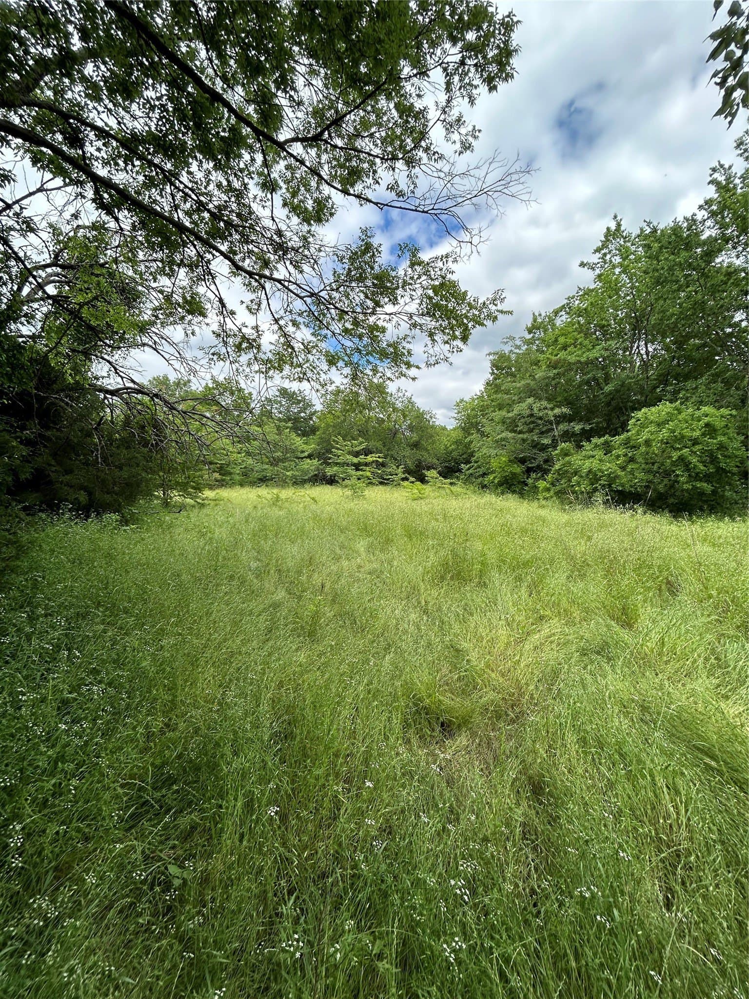 10.96 acres in Rains County - photo 13