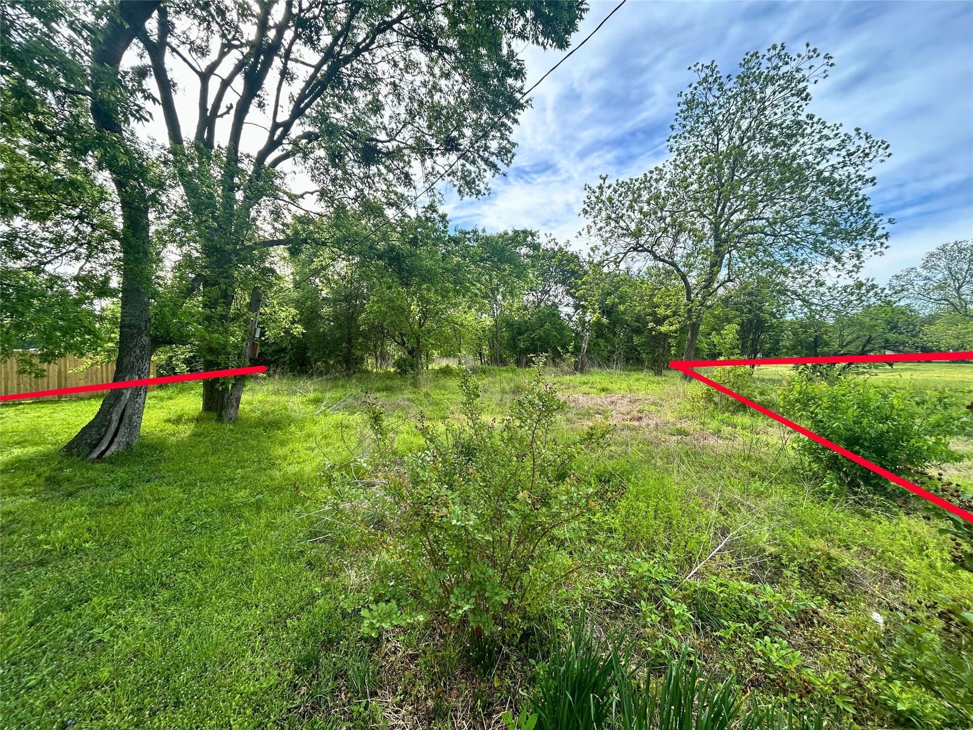 10.96 acres in Rains County - photo 9