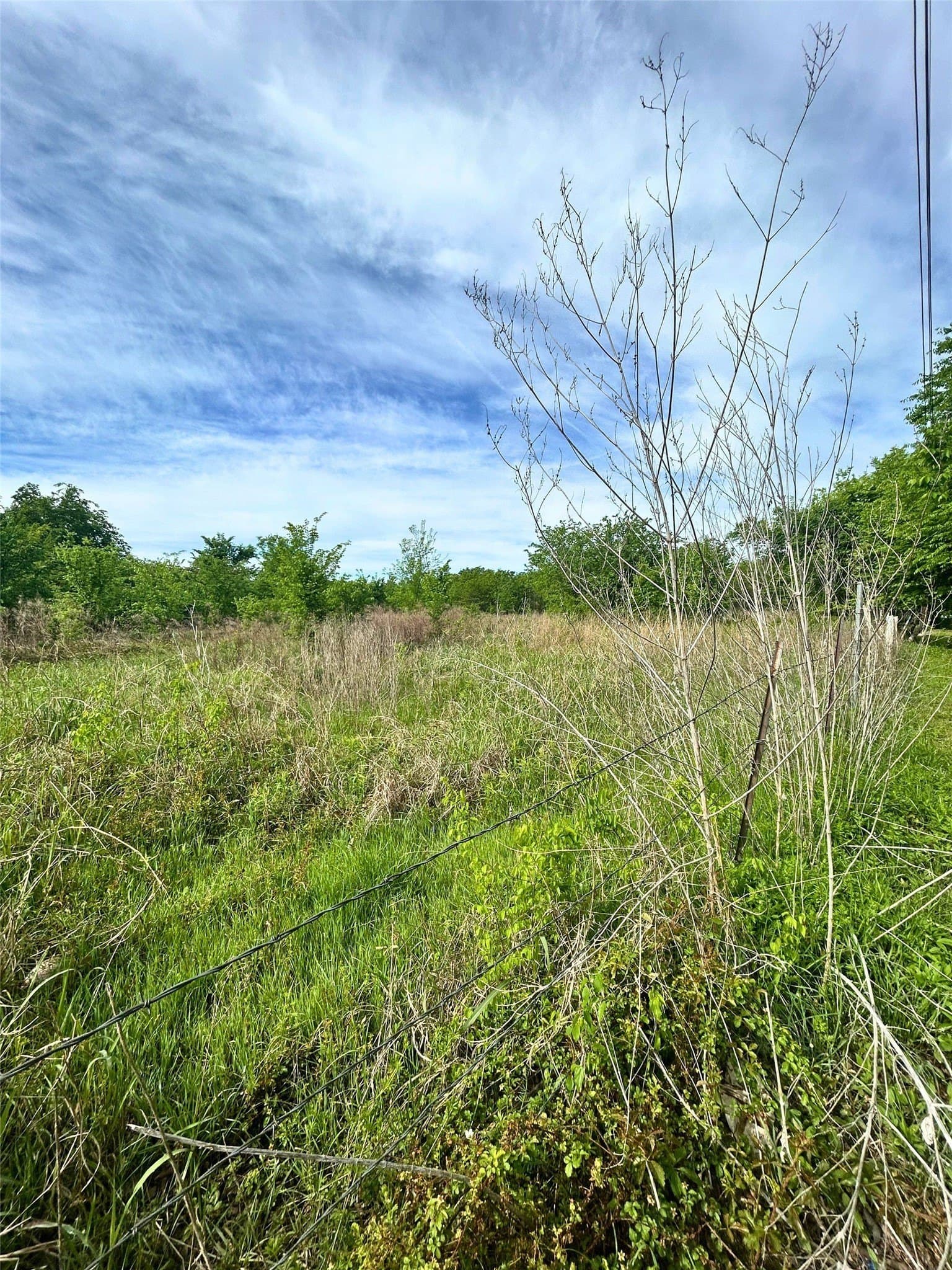 10.96 acres in Rains County gallery image 3