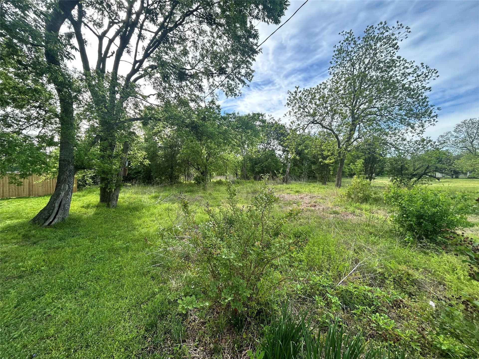 10.96 acres in Rains County - photo 12