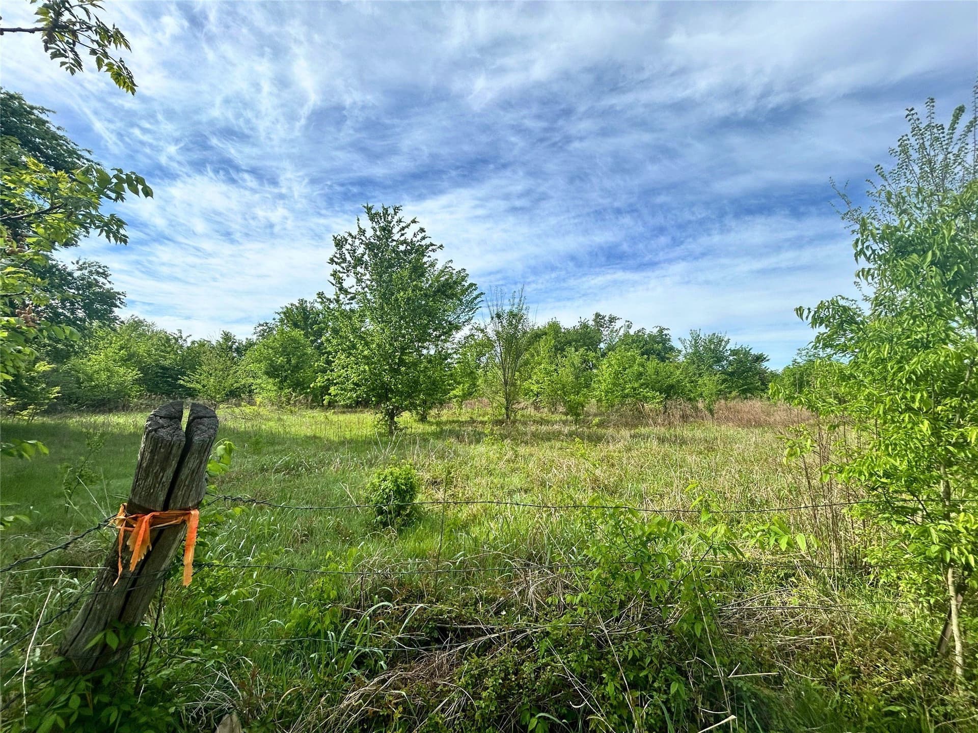 10.96 acres in Rains County - photo 6