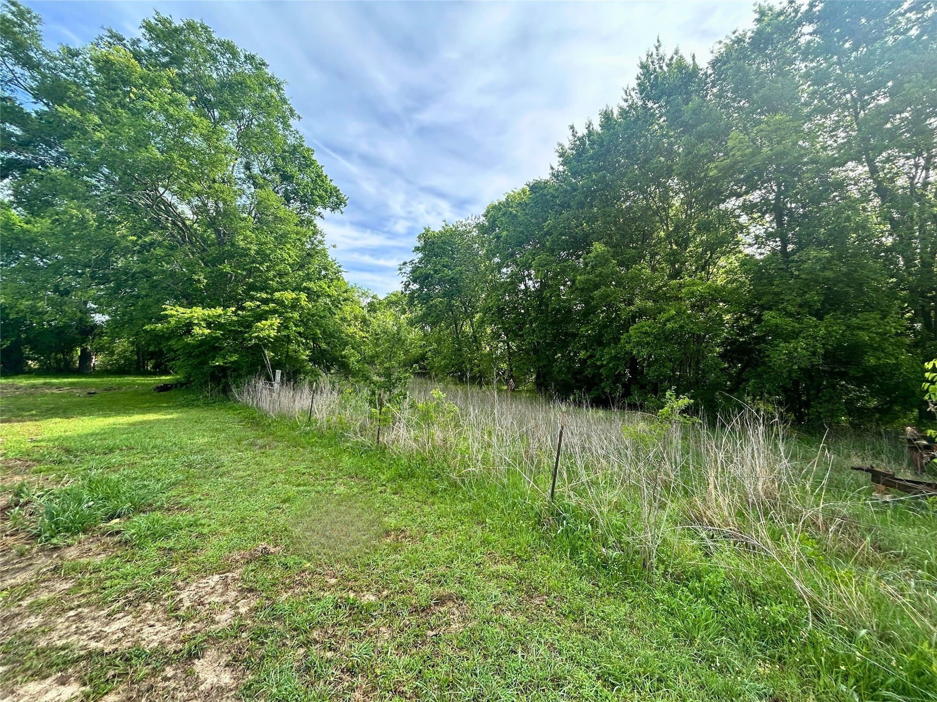 10.96 acres in Rains County gallery image 4