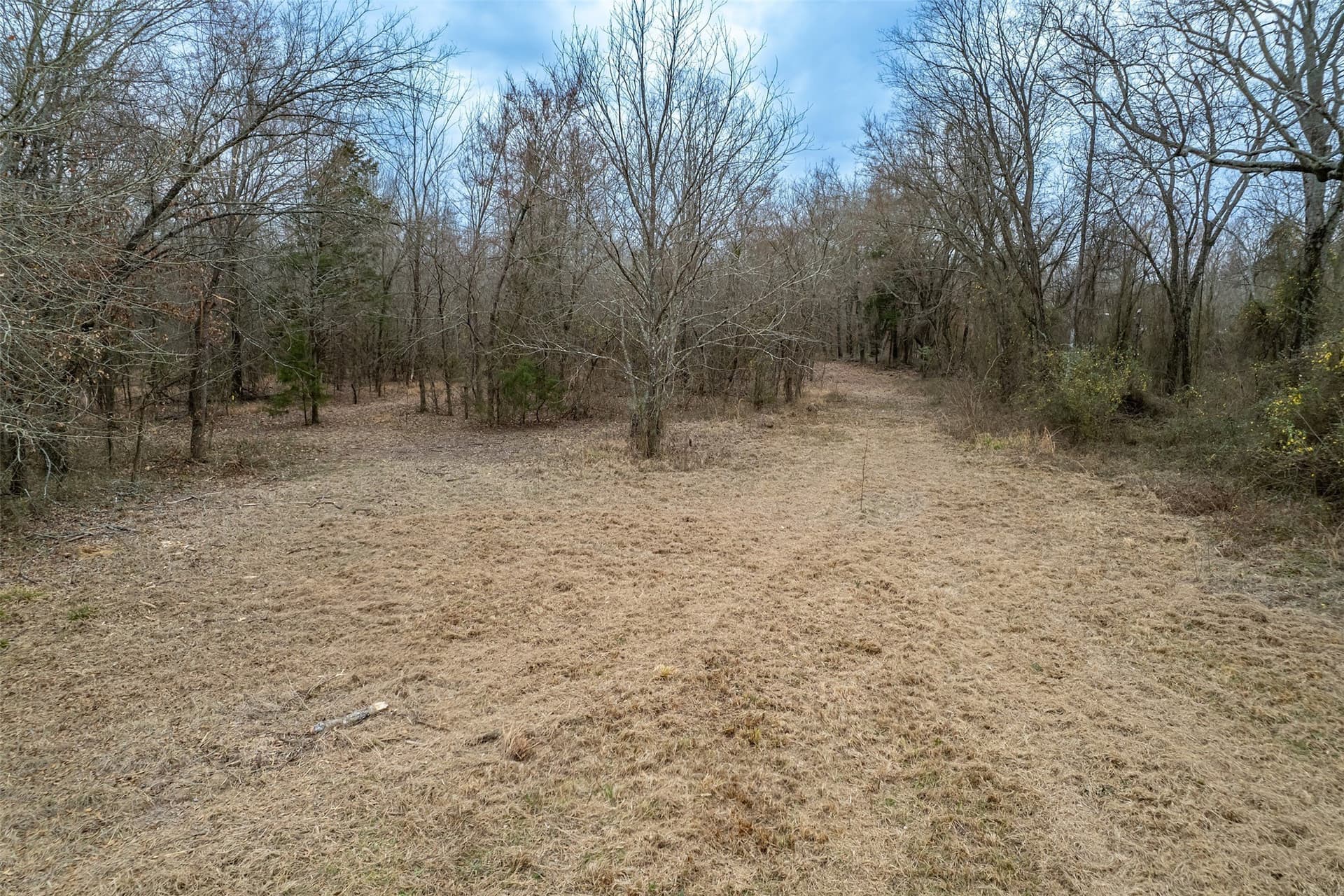 36.42 acres in Franklin (TX) County - photo 24