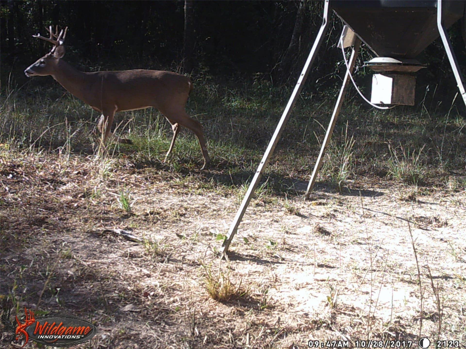 36.42 acres in Franklin (TX) County - photo 39