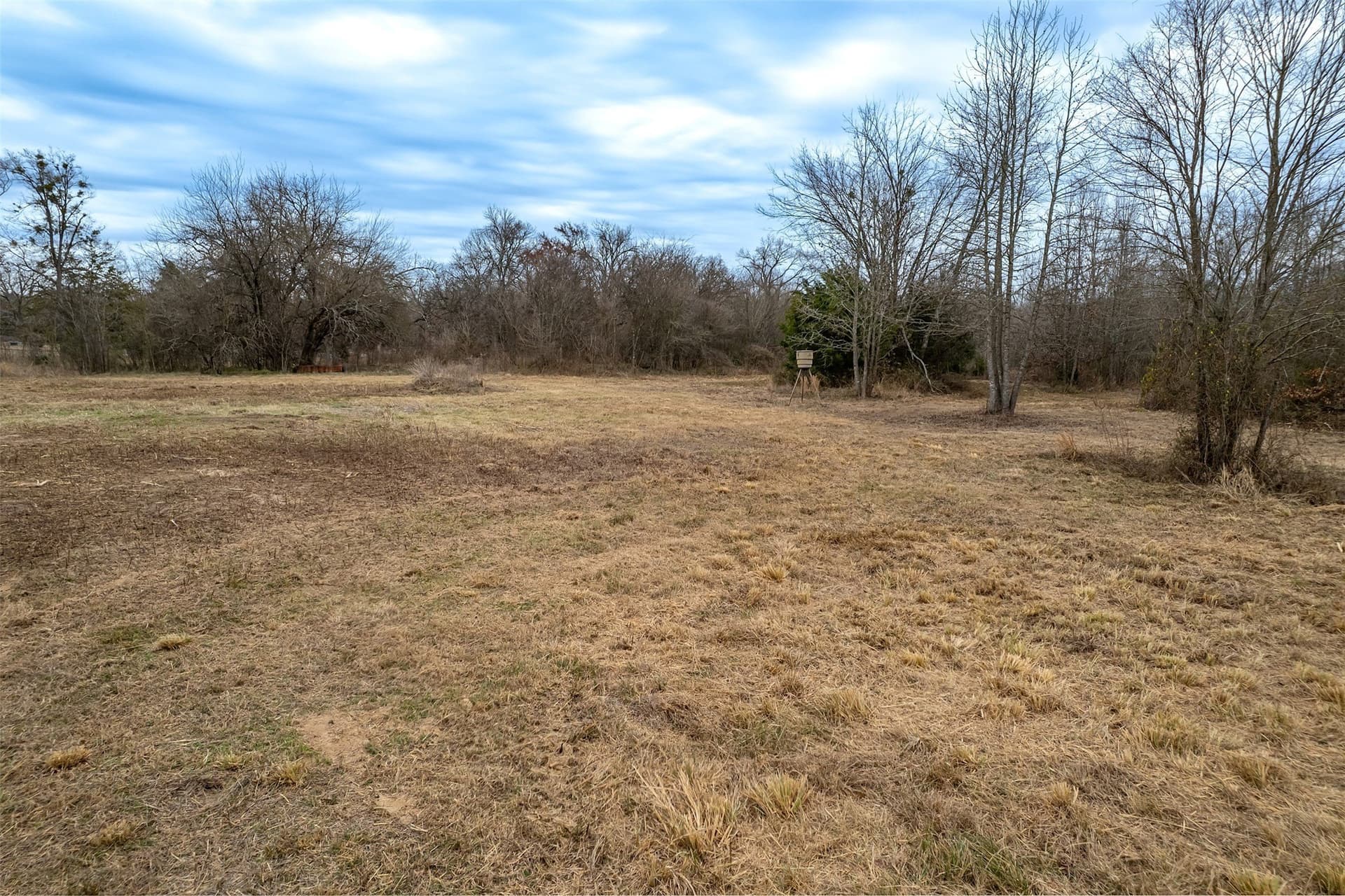 36.42 acres in Franklin (TX) County - photo 20