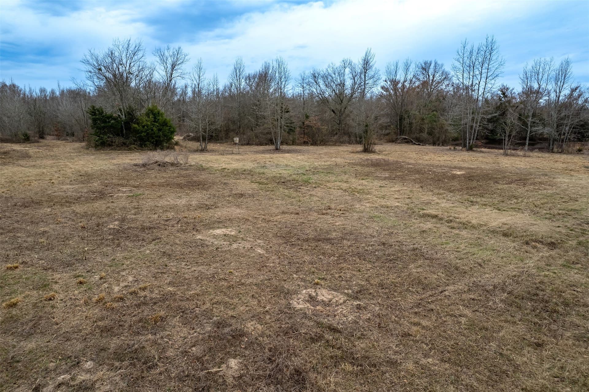 36.42 acres in Franklin (TX) County - photo 14