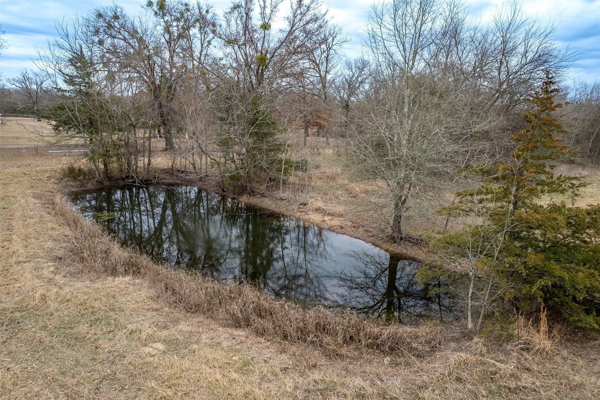 36.42 acres in Franklin (TX) County - photo 7