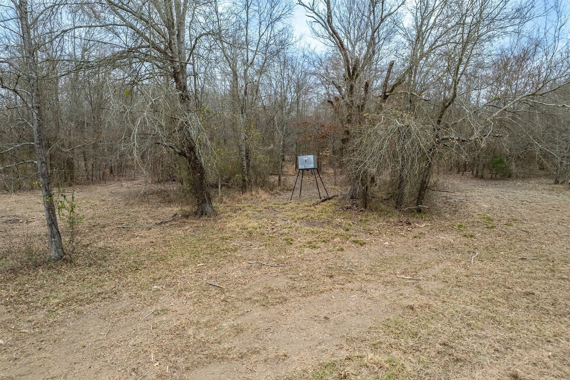 36.42 acres in Franklin (TX) County - photo 23