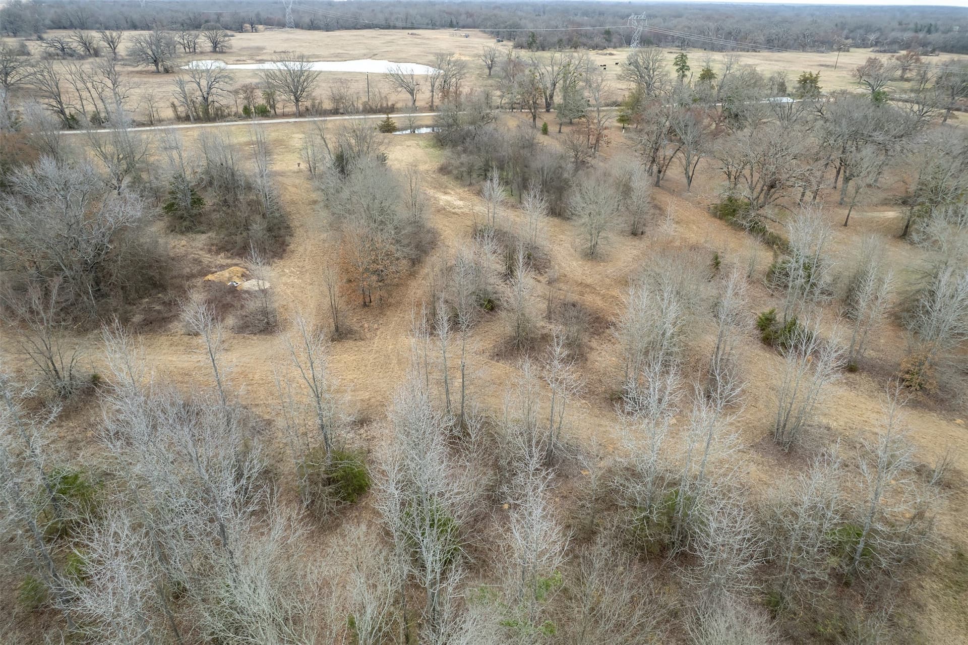 36.42 acres in Franklin (TX) County - photo 11