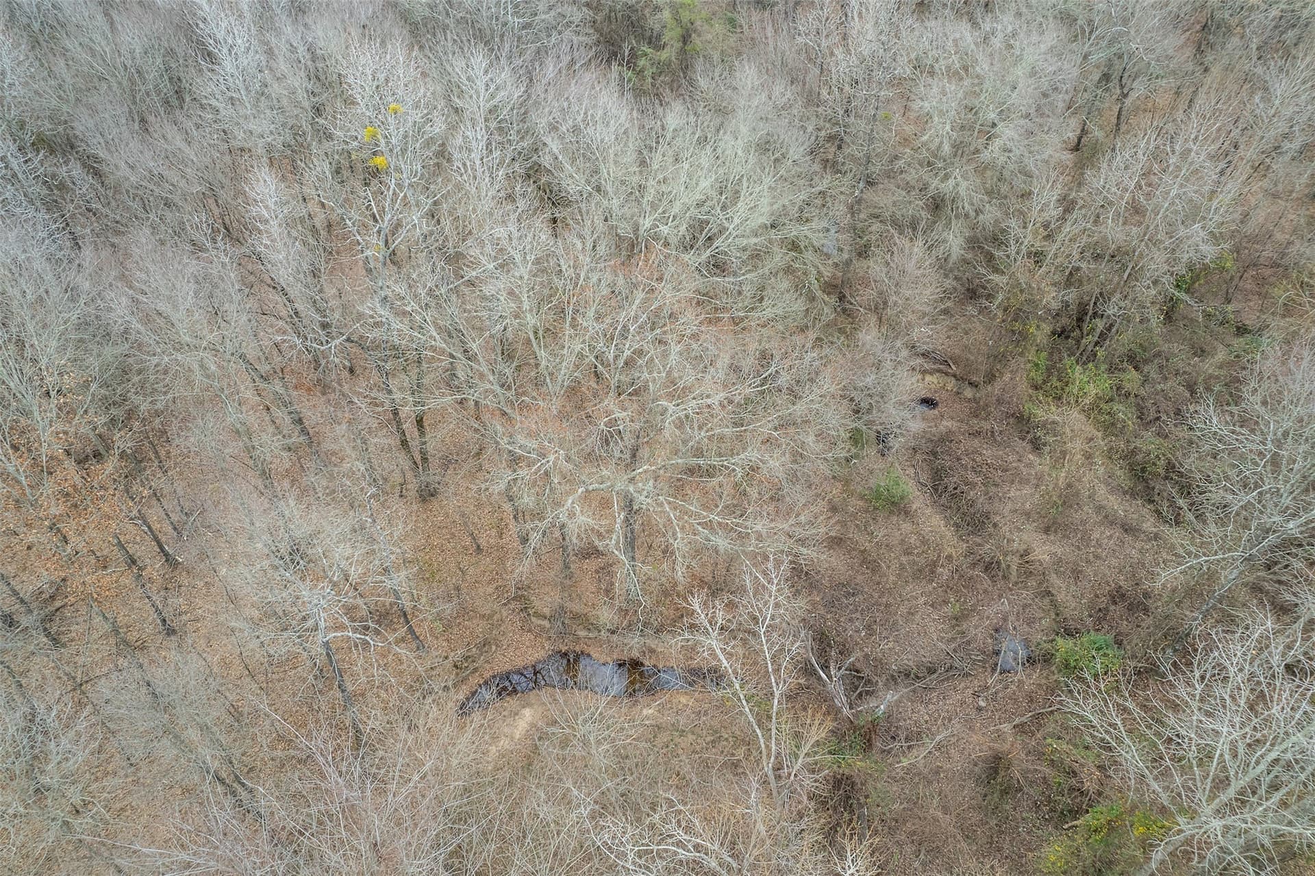 36.42 acres in Franklin (TX) County - photo 13