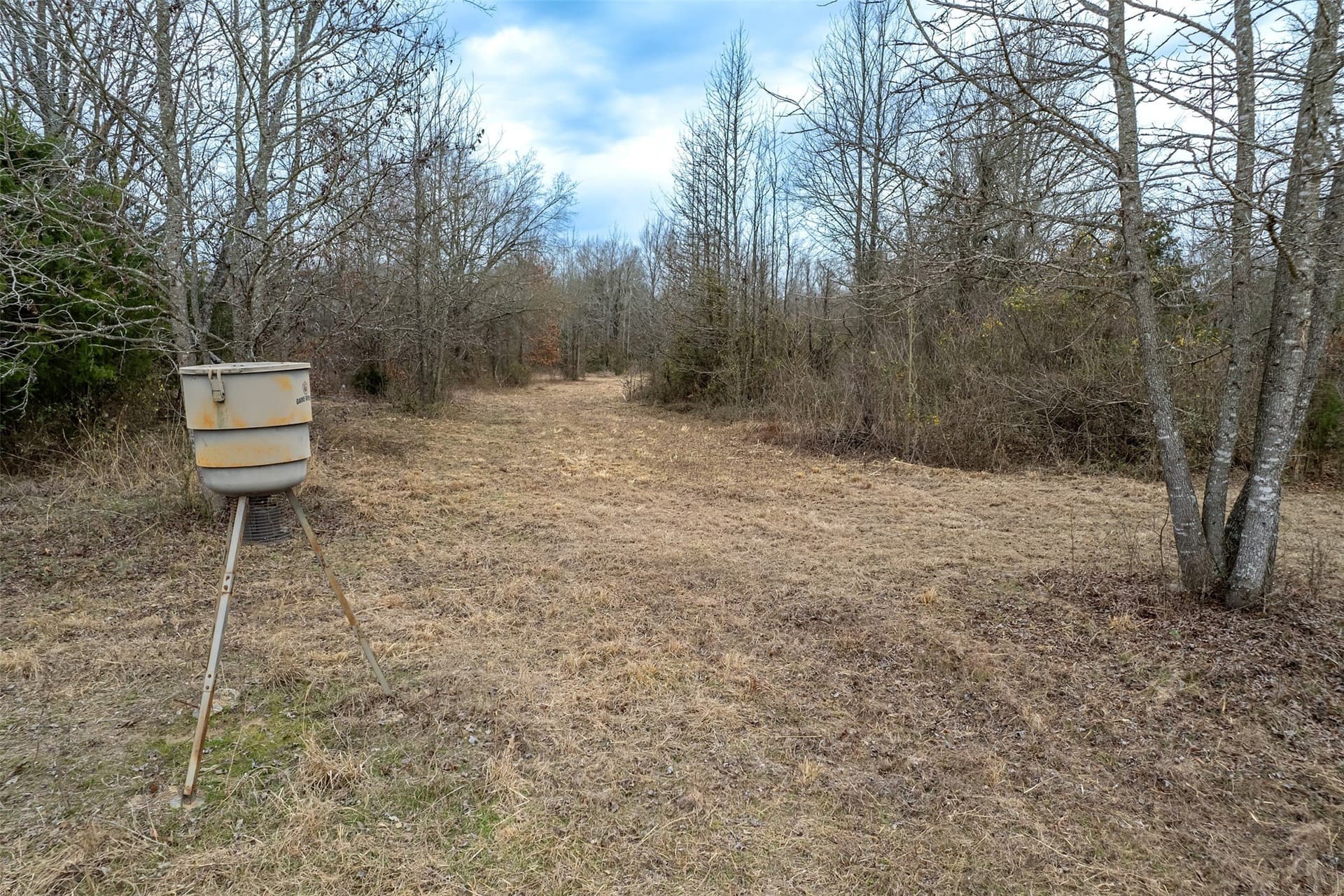 36.42 acres in Franklin (TX) County - photo 19