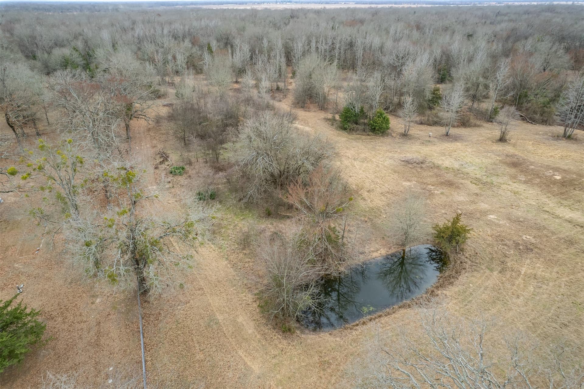 36.42 acres in Franklin (TX) County - photo 15