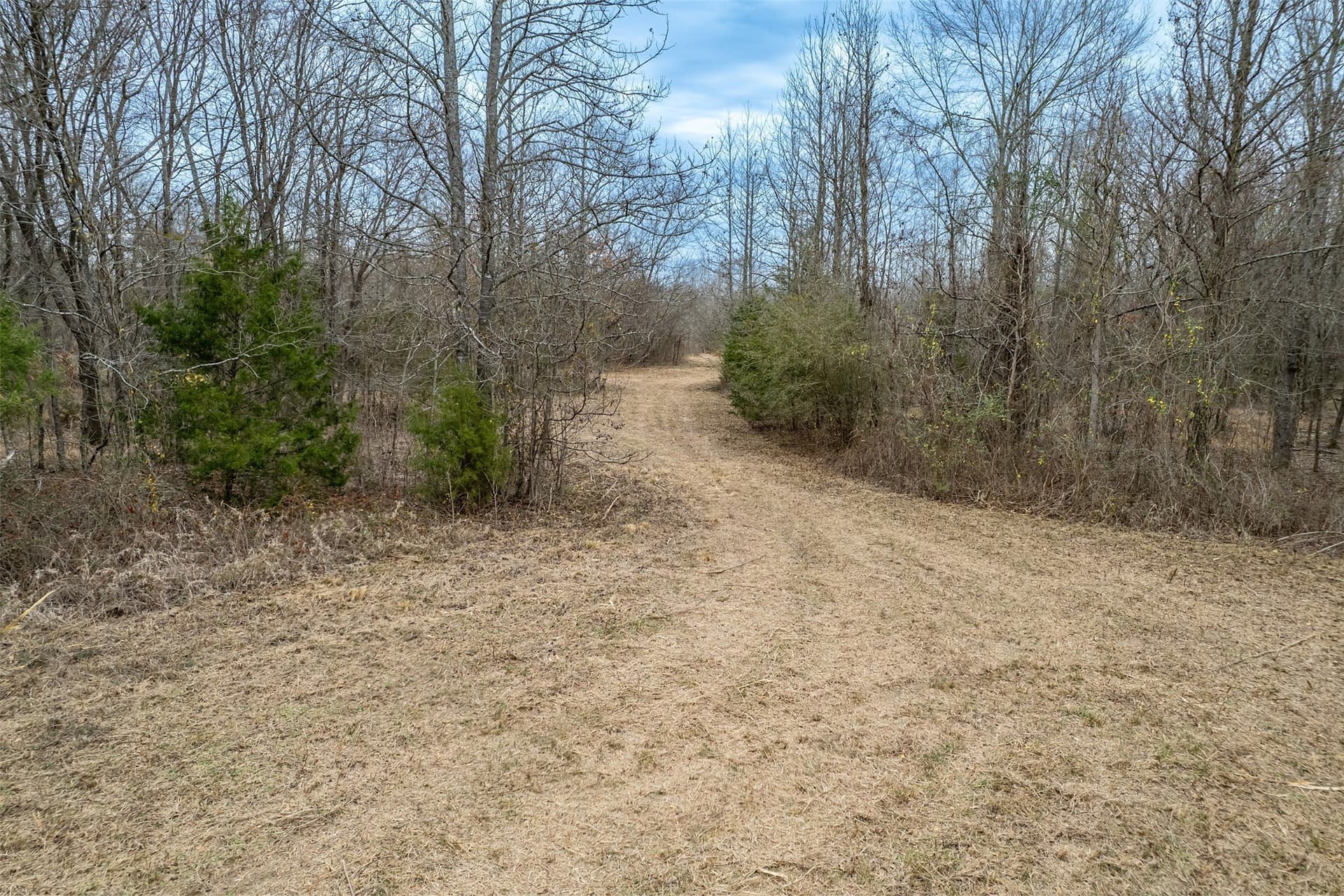 36.42 acres in Franklin (TX) County - photo 25
