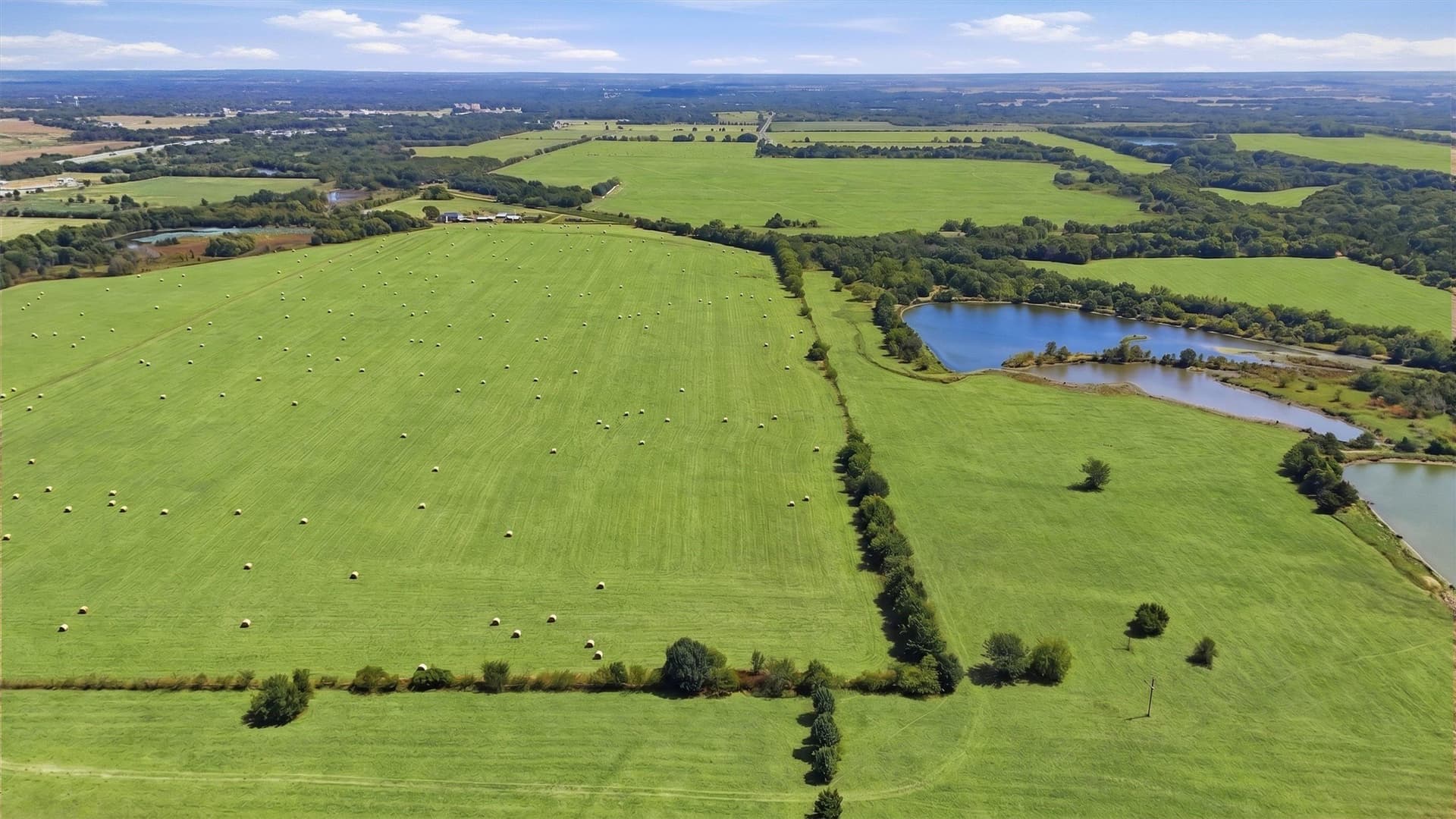 144.61 acres in Grayson County - photo 4