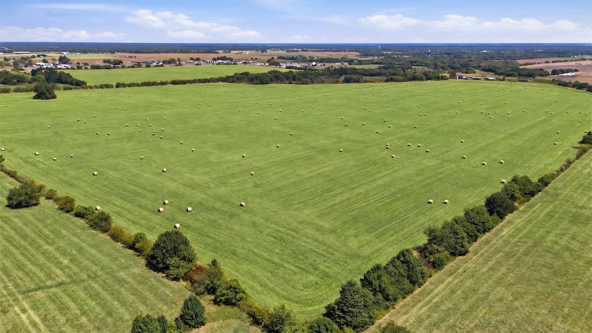 144.61 acres in Grayson County - photo 11