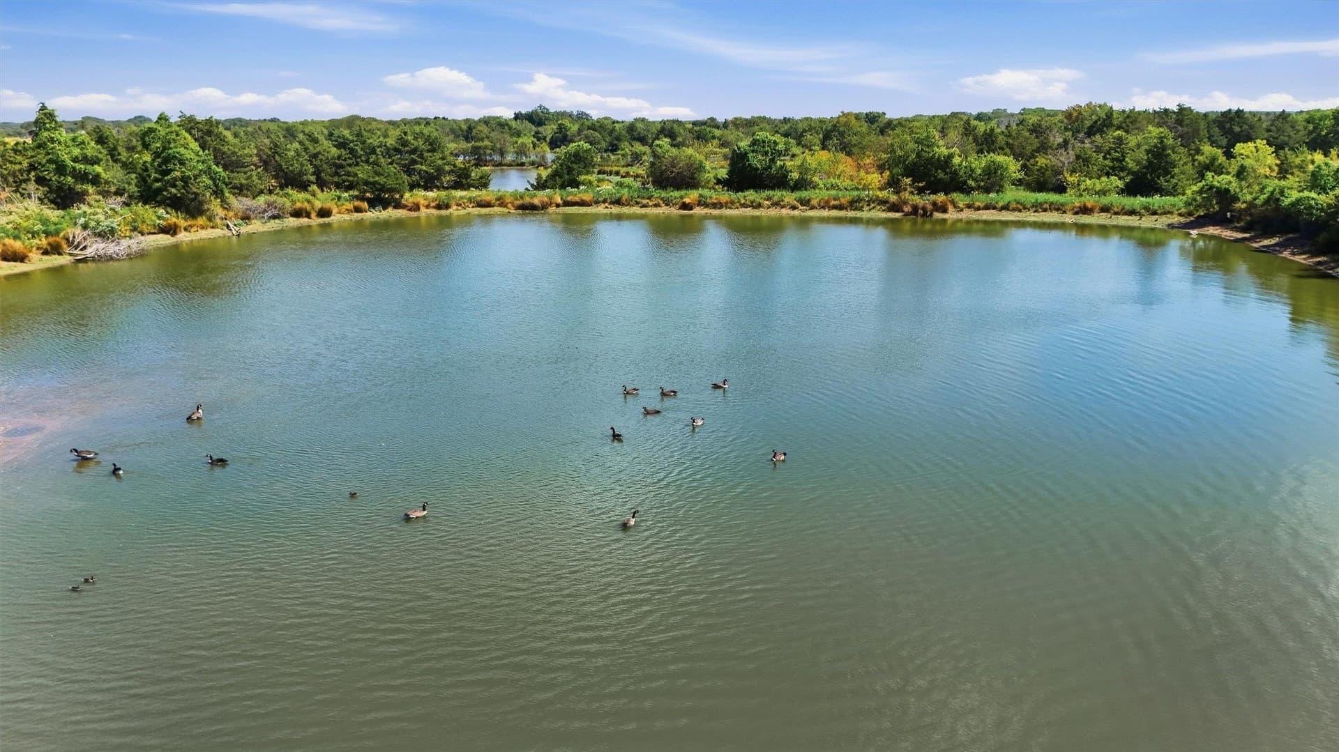 144.61 acres in Grayson County - photo 10