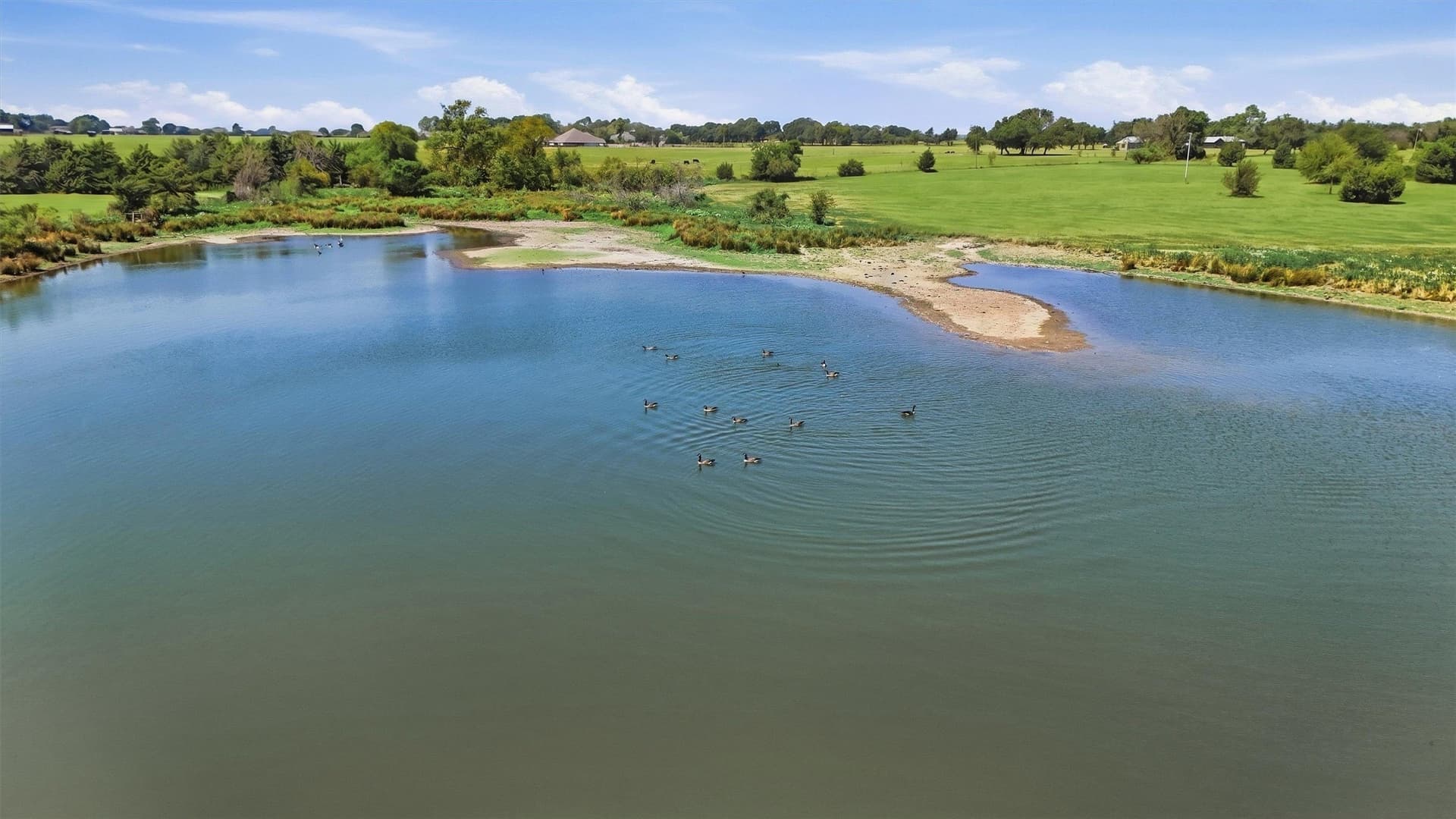 144.61 acres in Grayson County - photo 9