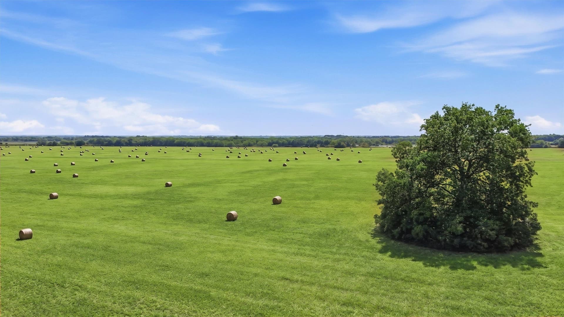 144.61 acres in Grayson County - photo 15
